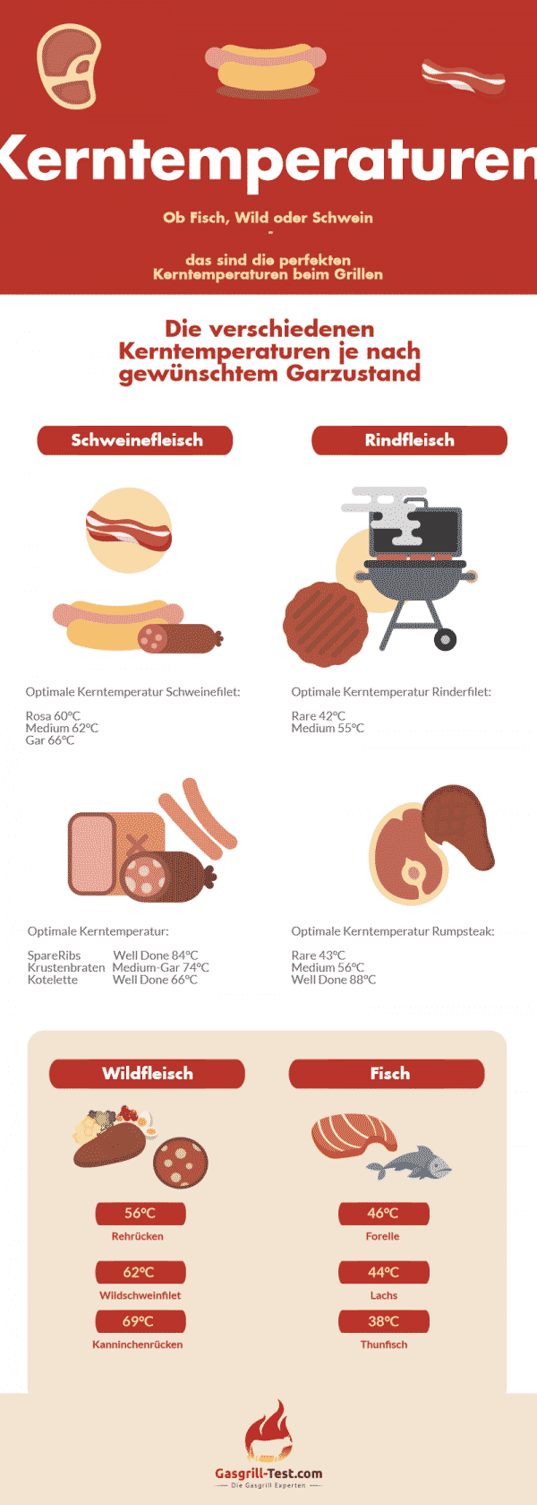 Die optimale Kerntemperatur von Grillfleisch- Gasgrill-Test.com